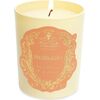 Santa Maria Novella, Meriggio, Scented Candle, 250 g Telpu aromāti