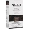 Noah, Permanent Hair Colour, Permanent Hair Dye, 4.06 Brown Chestnut, 140 ml Matu kopšana
