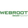 Webroot SecureAnywhere Antivirus 1 year(s) License quantity 3 user(s) Программное обеспечение