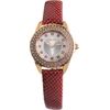WATCH FOLLI FOLLIE WOMAN WF1B006STSR (33MM) Rokas pulksteņi 