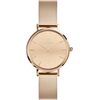 WATCH DANIEL WELLINGTON WOMEN DW00100795 (28MM) Rokas pulksteņi 