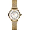 Giorgio Armani WATCH ARMANI WOMAN AR11321 (32MM) Rokas pulksteņi 