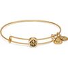 BRACELET ALEX AND ANI WOMEN SSEWB04G (20CM ) Bižutērija