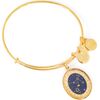 BRACELET ALEX AND ANI WOMEN A15EB64YG (20CM ) Bižutērija