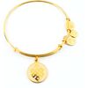 BRACELET ALEX AND ANI WOMEN A14EB52YG (20CM ) Bižutērija