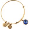 BRACELET ALEX AND ANI WOMEN A12EB248RG (19-25CM ) Bižutērija