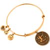 BRACELET ALEX AND ANI WOMEN A07EB40SARG (19-25CM ) Bižutērija