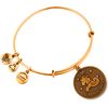 BRACELET ALEX AND ANI WOMEN A07EB40CARG (19-25CM ) Bižutērija