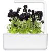 Click & Grow Smart Garden refill Black pansy 3pcs