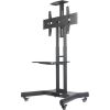 TV SET ACC FLOOR STAND BLACK/32-75" NM-M1700BLACK NEWSTAR