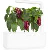 Click & Grow Smart Garden uzpilde Sarkanā paprika 3gb.