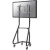Newstar Mobile Monitor/TV Floor Stand for 60-100" screen - Black / NS-M3800BLACK