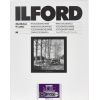 1x 50 Ilford MG RC DL 44M  24x30