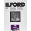 1x 25 Ilford MG RC DL 44M  18x24