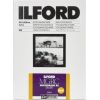 1x100 Ilford MG RC DL 25M  13x18