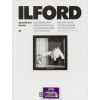 1x 50 Ilford MG RC DL 44M  30x40