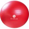 Гимнастический мяч SVELTUS Anti burst  65см красный + упаковкa