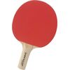 Table tennis bat Dunlop BT20 Galda teniss