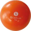 Weighted ball SVELTUS, 1 kg