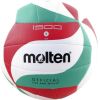 Volleyball MOLTEN V5M1500 for training, synth. Leather