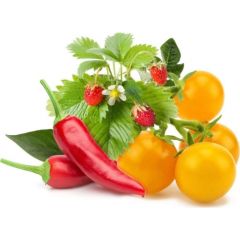 Click & Grow Plant Pod Fruit & Veggie Mix 9 шт.