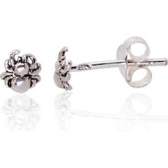 Sudraba auskari-puseti #2203374(POx-Bk), Sudrabs	925°, oksids (pārklājums), 0.5 gr. Puseti