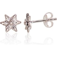 Sudraba auskari-puseti #2203347(POx-Bk), Sudrabs	925°, oksids (pārklājums), 0.7 gr. Puseti