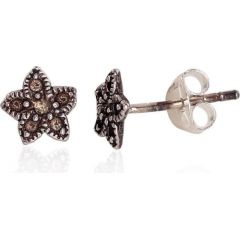 Sudraba auskari-puseti #2203329(POx-Bk), Sudrabs	925°, oksids (pārklājums), 0.6 gr. Puseti