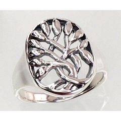 Серебряное кольцо #2100721(POX-BK), Серебро	925°, оксид (покрытие), Размер: 17, 5.3 гр.