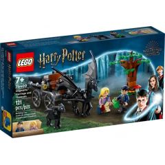 LEGO Harry Potter Cūkkārpas rati un testrāli (76400)