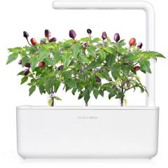 Click & Grow Smart Garden refill Фиолетовый чили перец 3 штуки