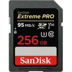 MEMORY SDXC 256GB UHS-1/SDSDXXD-256G-GN4IN SANDISK