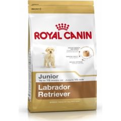ROYAL CANIN SHN Breed Labrador Junior dry dog food - 12 kg Barība