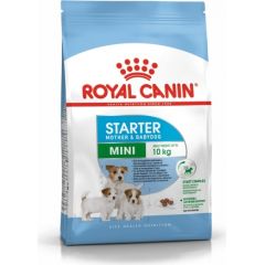Royal Canin SHN Mini Starter M&B - 8kg