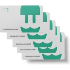 Wallbox Pack 10 RFID Card