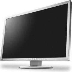 EIZO EV2430-GY - 24.1 - LED - gray - Ergonomic Stand - DVI - DisplayPort