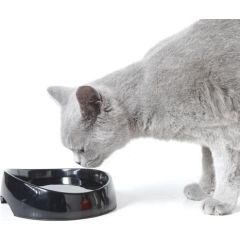 Savic MISKA WHISKER WATER 19x15x5cm Bļodas un dzirdinātāji