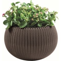 Keter Puķu pods karināms Cozy M With Hanging Set brūns Искусственные цветы и растения