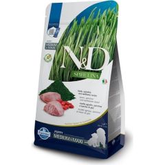 FARMINA N&D Spirulina Lamb Puppy MED/MAXI - dry dog food - 2 kg