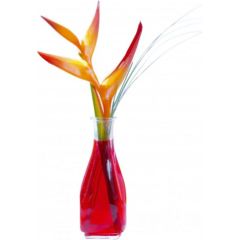 Carre karafe 0.5 L, Arcoroc Glāzes un karafes