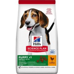 HILL'S SP Canine Puppy Medium Chicken - dry dog food - 18 kg