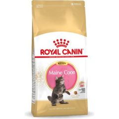 Royal Canin Maine Coon Kitten dry cat food 10 kg