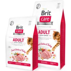 Brit 8595602540815 cats dry food 7 kg Adult Turkey