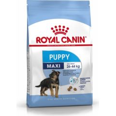 Royal Canin SHN Maxi Puppy - dry puppy food - 4kg Suņu barība