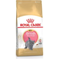 Royal Canin British Shorthair Kitten cats dry food 2 kg Poultry, Rice, Vegetable Kaķu sausā barība