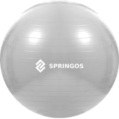 Vingrošanas bumba ar pumpi Springos FB0008 75cm