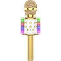 RoGer WS-858L Illuminated karaoke mikrofons ar skaļruni