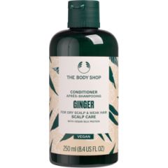 The Body Shop Ginger / Scalp Care 250ml