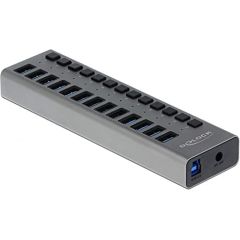 Delock External SS USB Hub 13Ports + Switch - 63738