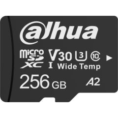 Dahua Technology TF-W100 MicroSDXC 256 GB Class 10 U1 A2 V30 (TF-W100-256GB)